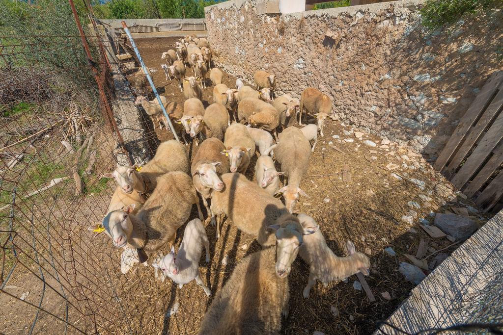 Granja Villa Inca  Buitenkant foto